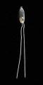 Candle Bi-Pin Bulb.