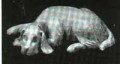 DH89 Spaniel