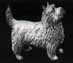 DH90 Cairn Terrier