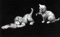 DH91 Kitten & Puppy