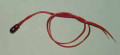 Red Grain of Wheat Bulb