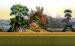 Landscapes