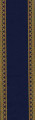  05. Blue and Gold Edged Stair Carpet