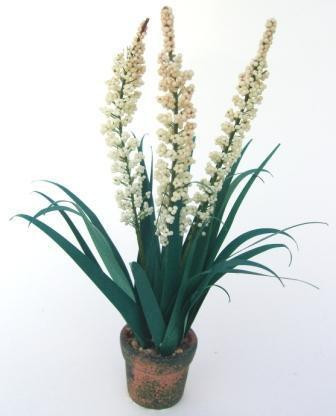 Yucca Flower kit